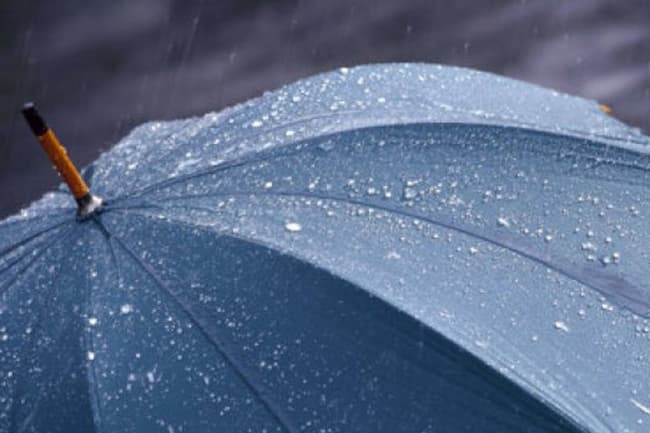 Several areas to receive spells of showers today