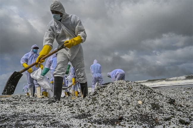 UK to assist Sri Lanka with X-press Pearl pollution response