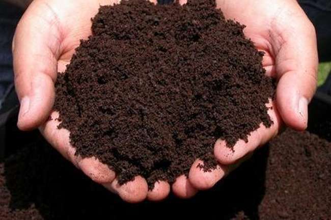 Sri Lanka suspends importing organic fertilizer from Chinese company