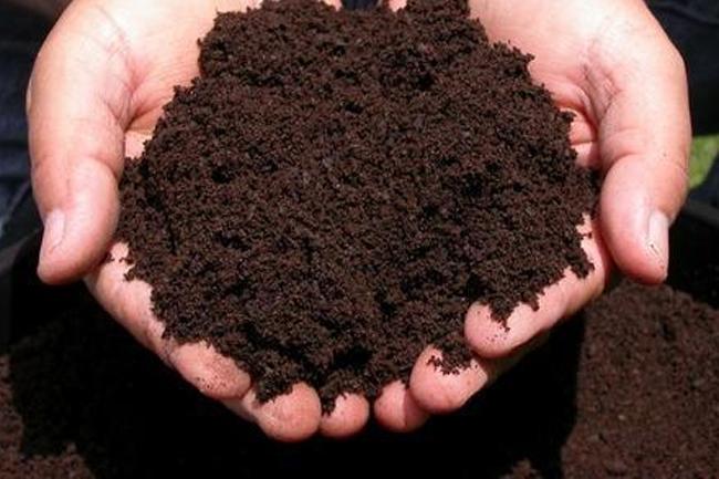Sri Lanka suspends importing organic fertilizer from Chinese company