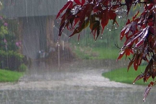 Showers or thundershowers expected in five provinces