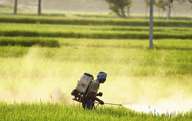 Cabinet approval to import Nano Nitrogen liquid fertilizer