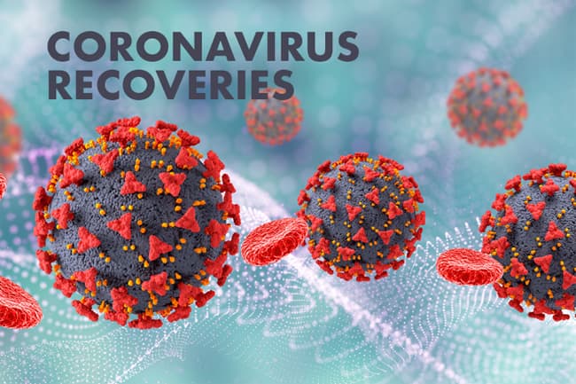 Coronavirus recoveries move up by 350