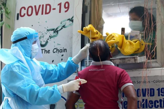 Daily COVID cases count hits 559 today