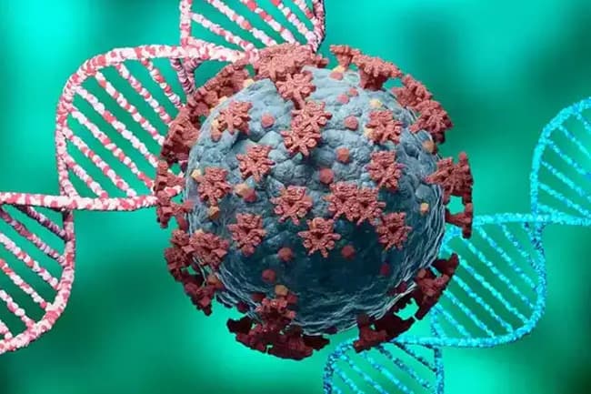 New highly mutated COVID variant in South Africa raises concerns