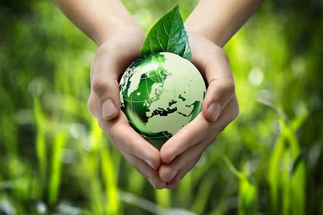 President to establish ‘Green Agriculture Operative Centre’