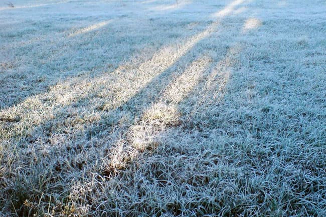 Ground frost likely in parts of Nuwara-Eliya district