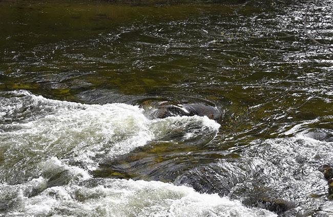 Three females missing while bathing at Kumari Ella