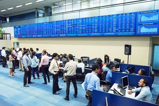 CSE temporarily halts regular trading for 30 minutes