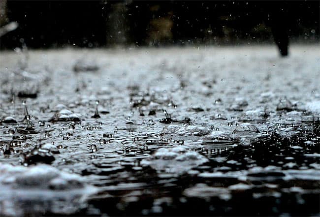 Showers expected in most parts of the island