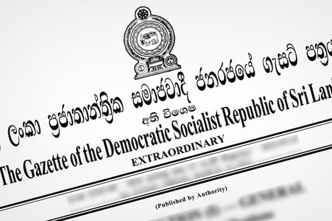 Sale of rice or paddy for animal feed production banned from today