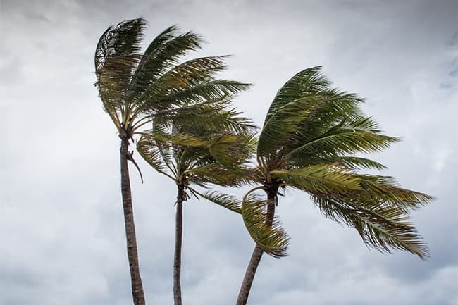 Strong winds expected in parts of the island