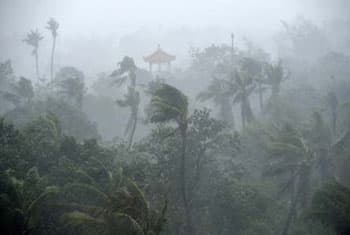 Met Dept forecasts strong winds and heavy rain