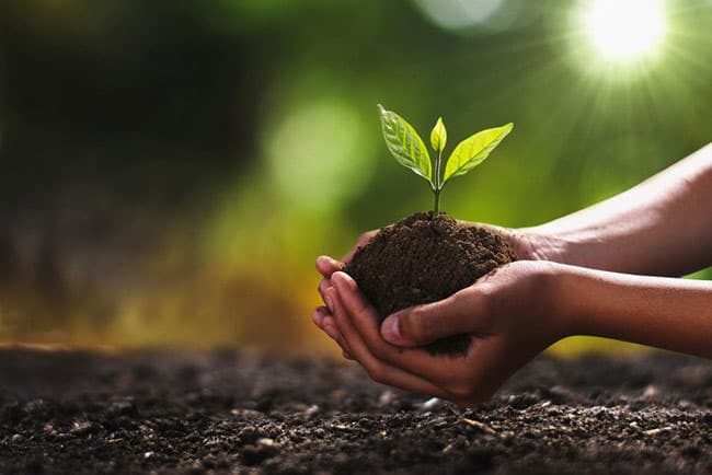 Sri Lanka registers decline in crop yield, high food inflation rates following switch to organic fertilisers: Report