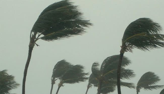 Weather advisory issued for heavy rain and strong winds