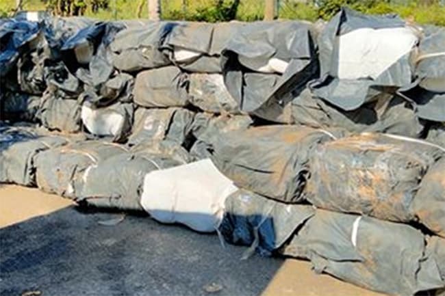 Navy arrests individual with nearly 1,800kg of ‘Kendu’ leaves