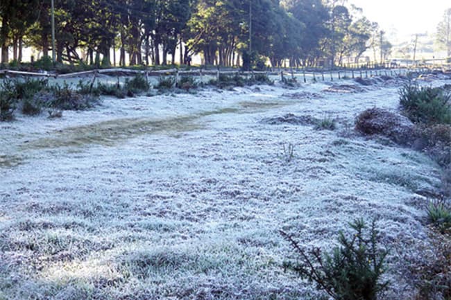Ground frost likely in parts of Nuwara-Eliya district
