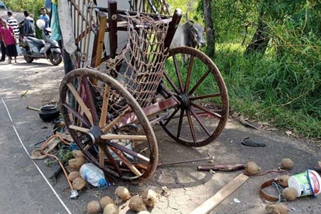 Four persons injured after bus collides with five bullock carts