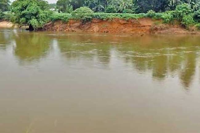 Man reported missing after falling into Kelani River