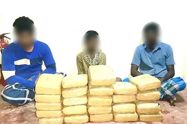 Navy nabs 03 suspects with Kerala cannabis worth over Rs. 20 mn in northern waters