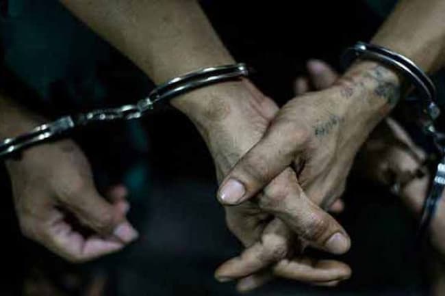 STF foils treasure hunting attempt by four including cop