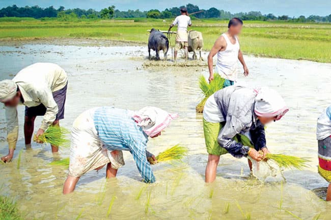 Spread of Leptospirosis on the rise in Southern Province