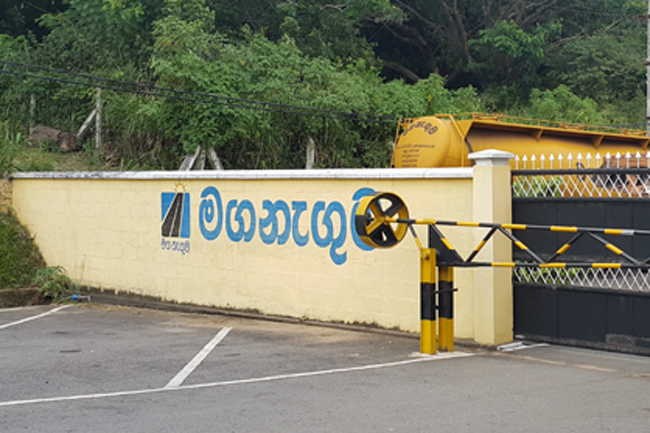 ‘Maga Neguma’ and four affiliated institutions to be discontinued