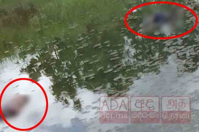 Bodies of two missing youths found in a pond