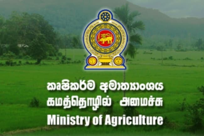 New loan scheme for youths interested in agricultural activities