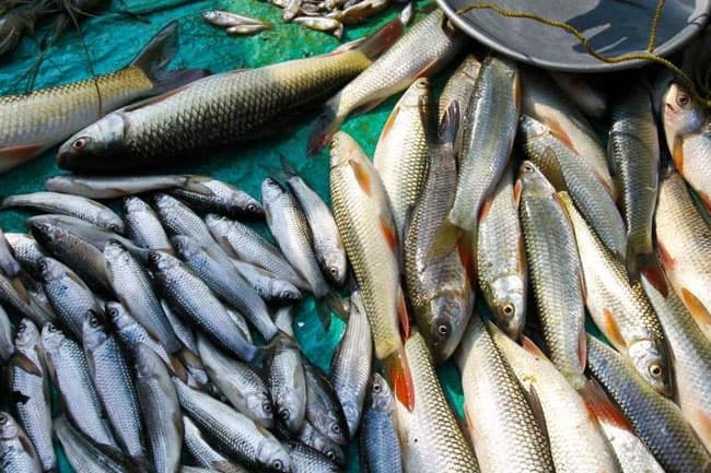 Price hike in food items temporary – Ministry of Trade