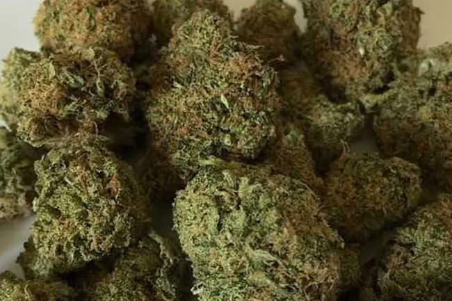 Indian police seize 240kg of cannabis routed to Sri Lanka