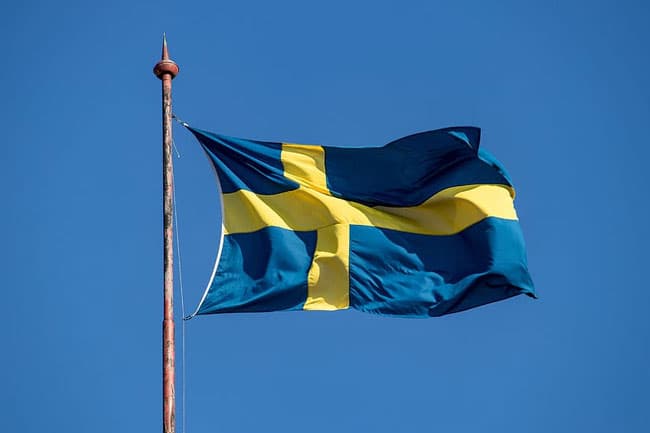 Swedish defence must adapt to match ‘long-term’ Russian threat – lawmakers