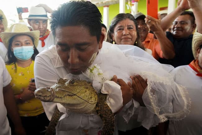 Mexico: Mayor marries alligator-like reptile who he calls ‘princess girl’
