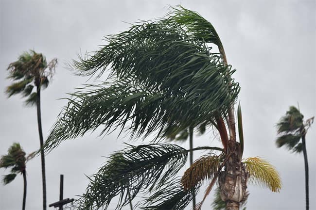 Met. Dept. issues advisory for strong winds