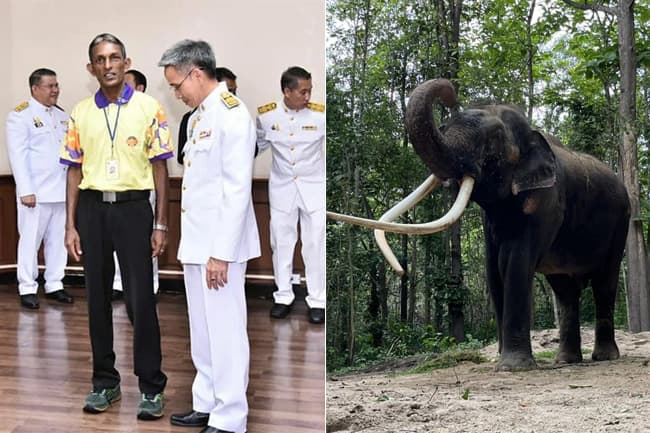 Thai royal family honours Sri Lankan caretaker of tusker ‘Muthu Raja’