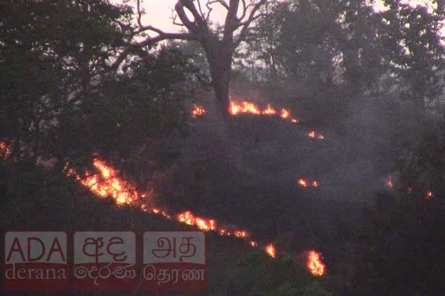 Over 100 acres in Bibilehela reserve destroyed in forest fire