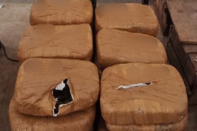 Kerala Cannabis worth Rs. 11 mn found in Jaffna