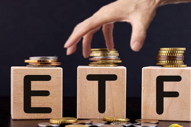 Consideration of petition against waiving off EPF and ETF loans during DDO process postponed