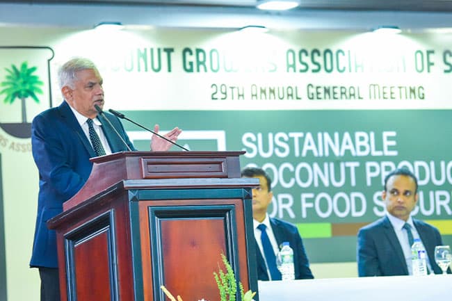 Govt will heed advice on debt optimization only from parliament - President