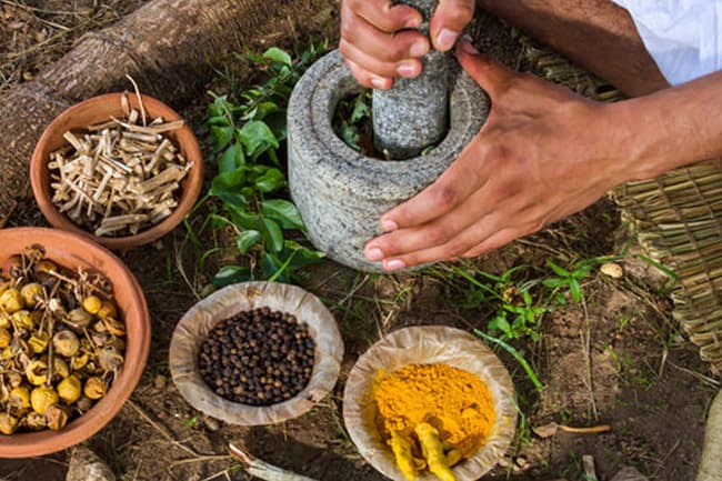 SC deems Ayurveda Amendment Bill inconsistent with Constitution