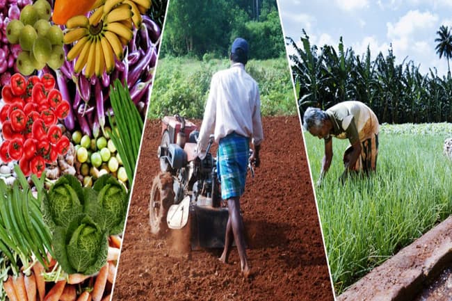 Sri Lanka to establish task force for agricultural modernization