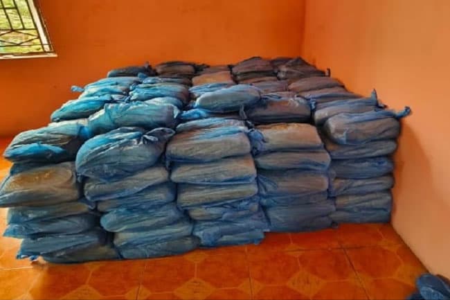 Three including pastor caught smuggling 600kg ganja meant for Sri Lanka