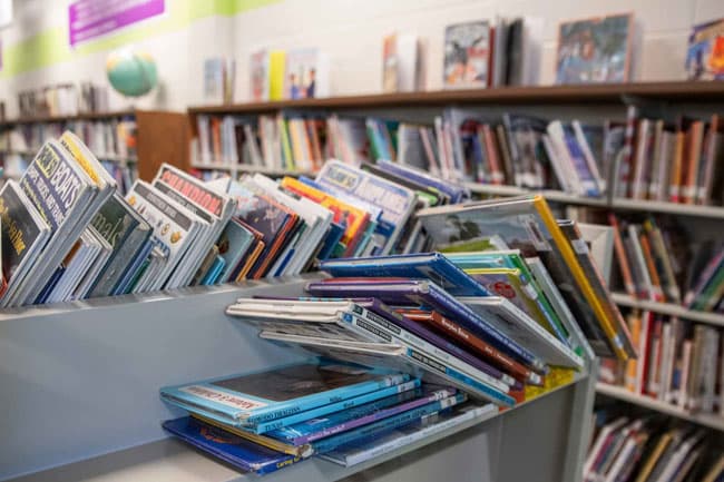 Georgia school district is banning books, citing sexual content, after firing a teacher