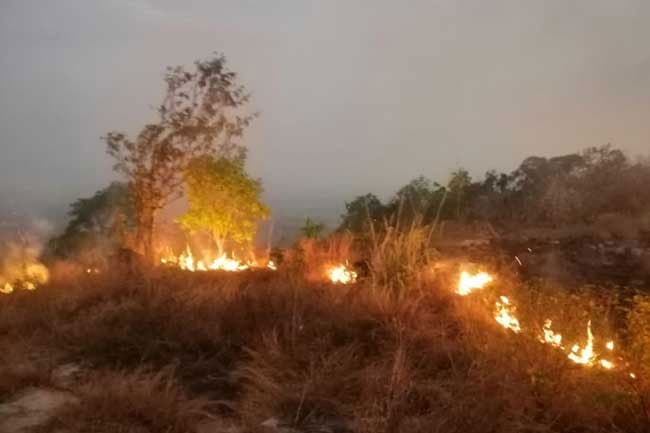 Over 07 acres of forest area destroyed in fire at Thotilagama Mountain region