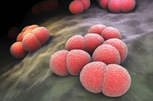 Person in Colombo District diagnosed with bacterial infection at Galle Prison