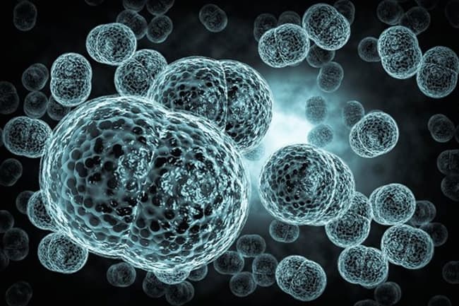 Health Ministry confirms only two ‘meningococcal’ infections reported thus far