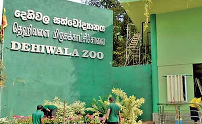 Dehiwala zoo offers free admission for kids on World Children’s Day