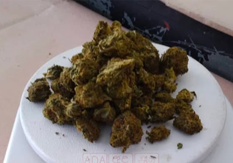 Customs seize Kush and ‘Ice’ at Peliyagoda Baggage Clearing Division