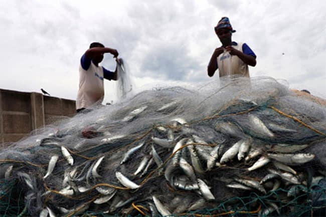 Dedicated investment zone to be established for fishing industry in Northern Province