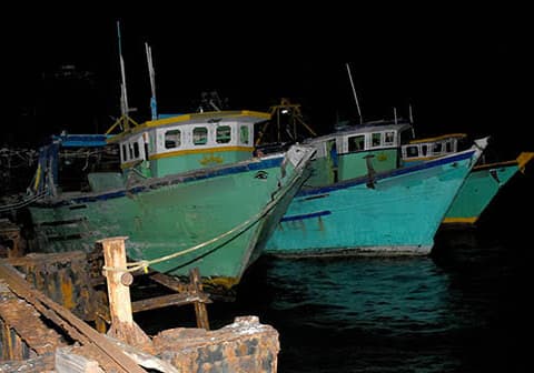 37 Indian fishermen arrested in Sri Lankan waters